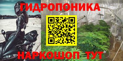 индика Кунгур