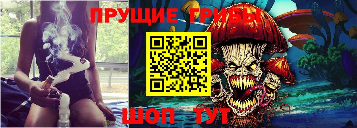 Кирово-Чепецк  Псилоцибиновые грибы ЛСД  Вход с VPN 